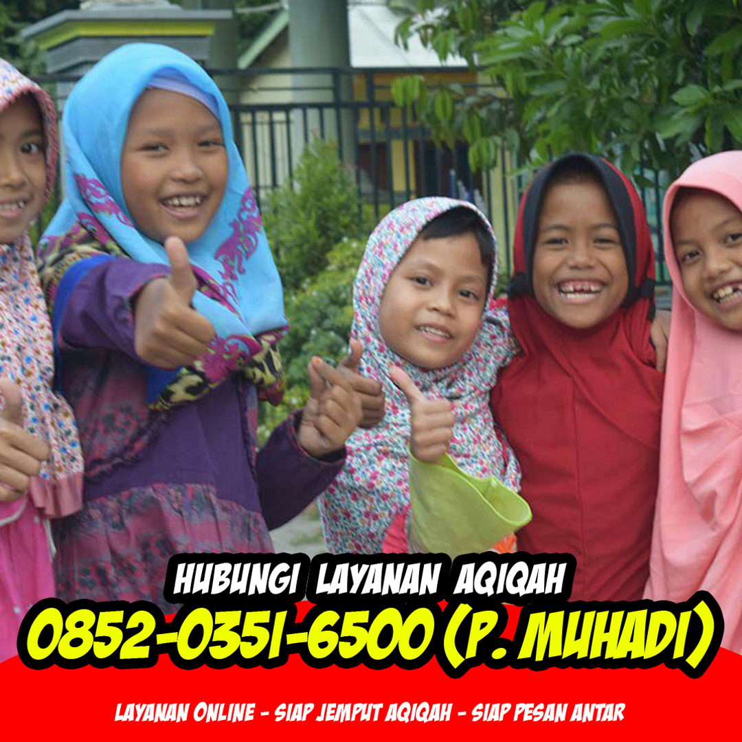 harga paket nasi box aqiqah